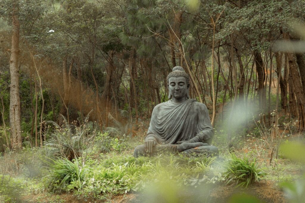 Statue de Bouddha dans une forêt verdoyante.
